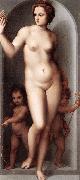 Venus and Two Cupids dsf BRESCIANINO, Andrea del
